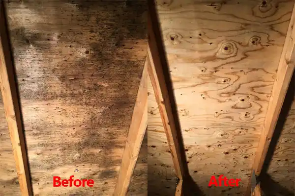 water damage restoration service Artesia